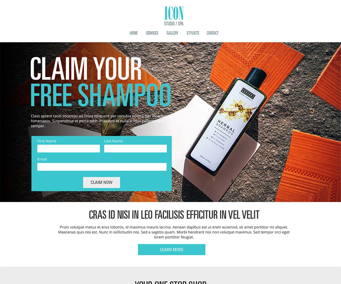 Landing page example
